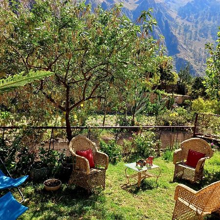 Andean Lodge Riverside Ollantaytambo Extérieur photo